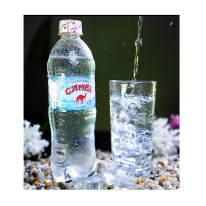 ऊंट शुद्ध पानी 500 ML