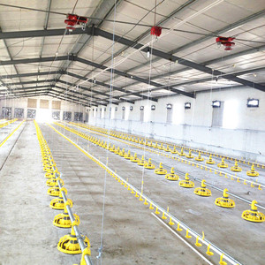 Chất Lượng Cao Hoàn Chỉnh Hiện Đại Trang Trại Thiết Kế Thân Thiện Với Môi Ánh Sáng Kết Cấu Thép Điều Khiển Tự Động Gia Cầm Nhà Gà Trang Trại - Product Image 2