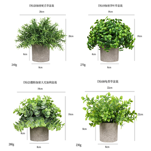 DS501 Mini plante <span class=keywords><strong>en</strong></span> <span class=keywords><strong>pot</strong></span> fausse <span class=keywords><strong>en</strong></span> plastique fausse petite plante d'<span class=keywords><strong>eucalyptus</strong></span> romarin <span class=keywords><strong>en</strong></span> <span class=keywords><strong>pot</strong></span> <span class=keywords><strong>pour</strong></span> salle de bain cuisine ferme chambre décor - Product Image 2