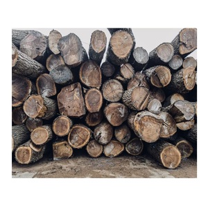 Suministro directo de troncos y maderas de madera noble a la venta, madera económica y duradera para la fabricación de muebles y la construcción - Product Image 1