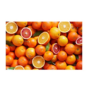 Recién llegado, suministro de fábrica de naranja fresca con fruta fresca de naranja china de alta calidad al mejor precio de naranja - Product Image 6