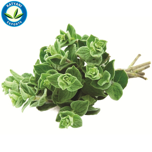 100% คาร์วาคอลออริกาโนบริสุทธิ์และออร์แกนิกจำนวนมากในราคาที่ดีที่สุด - Product Image 5