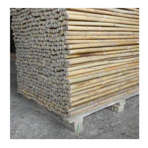 Postes de bambú naturales duraderos para estacas de jardín y soporte para cultivos Postes de bambú Premium para uso agrícola - Product Image 6