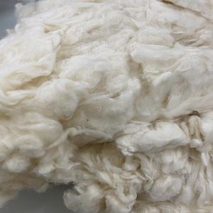 100 Comber Noil Spinning Mill Carte de déchets de fibres de coton brut blanc Livraison rapide depuis le Vietnam-par Mme Min - Product Image 3
