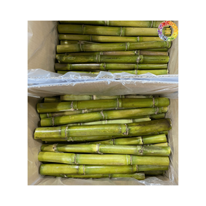 Palitos de caña de azúcar congelados de alta calidad de Vietnam para exportación: palitos de caña de azúcar pelados de alta calidad y al mejor precio - Product Image 6