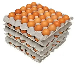 Venta al por mayor 100% Uzbekistán Farm Fresh Chicken Table Eggs Brown and White Shell Chicken Eggs Farm Fresh Eggs para la venta