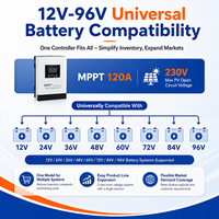 Direktvertrieb 120A MPPT Solar-Laderegler 230V PV-Eingang 12V-96V Batteriesystem LCD-Display OEM ODM Großhandel