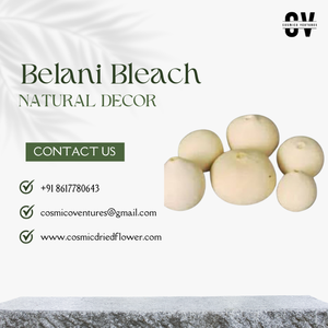 น้ำยาฟอกขาวเบลานีคุณภาพพรีเมียม สำหรับดอกไม้ประดิษฐ์ DIY ตกแต่งต้นไม้ เป็นมิตรกับสิ่งแวดล้อม กันน้ำ เหมาะสำหรับตกแต่งบ้าน สำนักงาน ในเทศกาลฮาโลวีน - Product Image 2