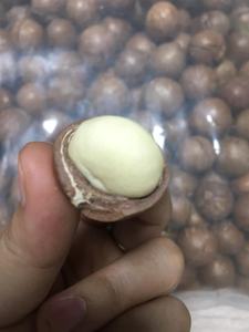 Produit populaire Noix de macadamia concassées séchées croustillantes délicieuses des fournisseurs du Vietnam/Noix de macadamia en vrac avec une offre compétitive - Product Image 4