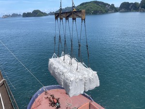 Best Seller of Portland Cement Packing in 40kg with Extra Rapid Hardening and <b>Strength</b> Grade 42.5-62.5 MPa - Product Image 5
