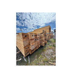 Madera de Nogal con 12 Meses de Vida Útil y Suministro Estable para Operaciones de Fabricación de Muebles a Gran Escala, Compra al por Mayor - Product Image 1