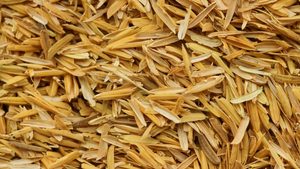 Cáscara de arroz Producto agrícola - Product Image 3