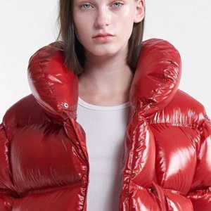 2025 vente en gros mode garder au chaud hiver femmes vestes bouffantes 100% Nylon fermeture éclair col à capuche brillant femmes vestes - Product Image 2