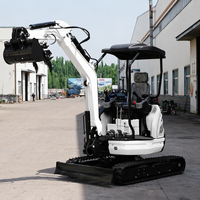 Nuevo Proveedor de Miniexcavadoras para Proyectos de Paisajismo, con Guía de Compra de Miniexcavadoras