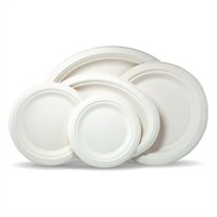 Gros Biodégradables Canne À Sucre Bagasse À Manger Plaque Set Vaisselle Jetable de Fête D'anniversaire Vaisselle Ensemble