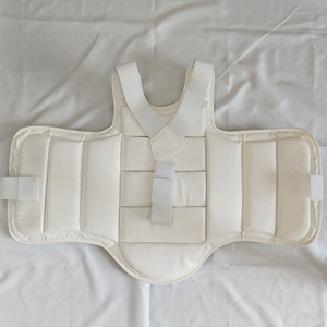 Protection Thoracique de Karaté, Équipement de Protection Corporelle, Armure Corporelle pour l'Entraînement aux Arts Martiaux et la Protection contre les Impacts - Product Image 3