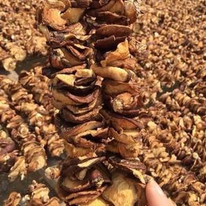 Hongo Shiitake Seco Orgánico de Alta Calidad de Vietnam, Mejor Precio, Empaque a Granel, Proceso de Secado al Aire, Directamente de DC - Product Image 6