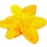 Mango seco Rebanada masticable suave Sabor tropical Sabor dulce Hecho con proceso de secado AD Producto de calidad de exportación por 99 Gold Data