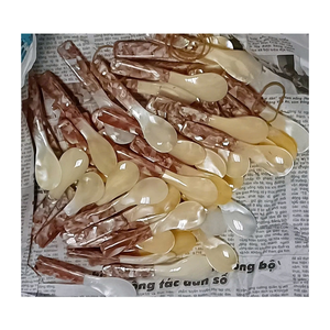 Cuillère à coquillages et cuillère à nacre fournie par 99 Gold Data Vietnam pour une utilisation gastronomique et un affichage de luxe - Product Image 5