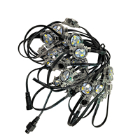 Pixel LED RGB Light 50 Bombilla WS2811 5V 12MM 50 Nodos LED Pixel Stick DMX Controller Programa para señal publicitaria