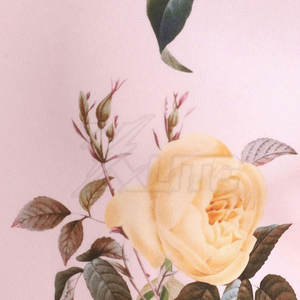 เสื้อฮู้ดผ้าฟลีซพิมพ์ลายสไตล์วินเทอร์สตรีท น้ำหนักเบา ระบายอากาศได้ดี เหมาะสำหรับลุคสบายๆ ทันสมัย และสวมใส่ในชีวิตประจำวัน - Product Image 5