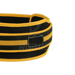 Wholesale Custom Logo & Color Neoprene Weightlifting Belt with Non-Slip <b>Back</b> <b>Support</b> for Gym Fitness Workouts - Product Image 5