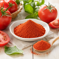 Poudre de tomate naturelle en gros, qualité alimentaire, ingrédient végétal, OEM ODM, marque privée, approvisionnement direct usine en vrac