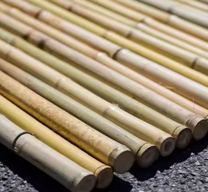 Carefully Harvested Bamboo Pole-Strong, Biodegradable <b>Plant</b> <b>Supports</b> <b>for</b> Earth-Friendly <b>Gardens</b> VIET FARGIMEX - Product Image 5