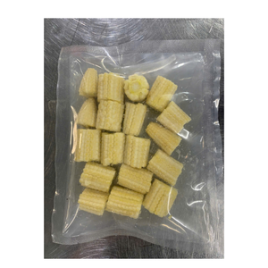 Mazorcas de maíz entero congeladas a la máxima frescura, empaquetadas de forma segura para la exportación, adecuadas para todo tipo de aplicaciones culinarias - Product Image 6