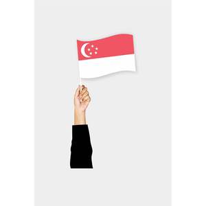 Accesorios de pantalla portátiles de Singapur: Bandera elegante para una comunicación visual efectiva - Product Image 1