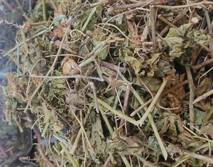 Suministro de Fábrica de Passiflora Foetida, Sabor Rico, Passiflora Foetida Seca y Limpia, Flor de la Pasión y Té de Hojas, Vietnam - Product Image 2