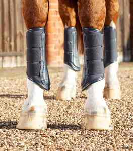 Botas de Protección para Caballos Hechas a Medida con Protección Completa para Tendones y Menudillos, Acolchado Absorbente de Impactos - Product Image 3