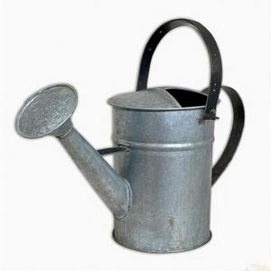 Arrosoir d'inspiration patrimoniale en métal galvanisé vieilli avec grande capacité de volume pour l'arrosage de la pelouse et du parterre de fleurs - Product Image 1