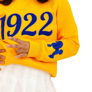 1922 Pretty Poodle Chenille sudadera suave Premium algodón cuello redondo con bordado griego hermandad SGRho ropa para mujer - Product Image 4