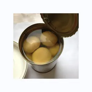 缶詰キノコ缶詰シャンピニオンキノコ工場直接サプライヤー缶詰食品全塩追加新鮮な天然原料カンネ