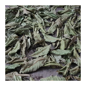 Hoja de guayaba pura de Vietnam, proceso de secado al sol natural, color verde brillante, perfecto para té, uso tradicional, embalaje personalizado - Product Image 6