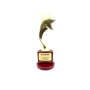 Gran oferta, Trofeo personalizado de estrella dorada de metal, Premio de Reconocimiento de estrella brillante para hitos corporativos disponibles a precio de fábrica - Product Image 4