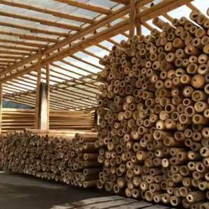 Estacas de jardín ecológicas | Bambú tratado a medida | Fabricante Vietnam | Suministro mayorista - Product Image 4
