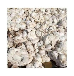 Caoutchouc de latex de qualité supérieure, matière première en caoutchouc naturel en vrac à vendre - Product Image 2