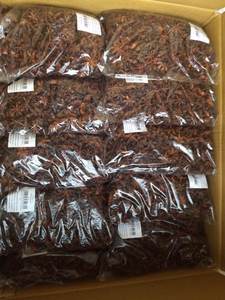 Anis étoilé vietnamien/palgak/chakra phool pour l'exportation-haute qualité, meilleur prix (WA: + 84362512699) - Product Image 6