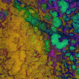 Shorts d'été en coton uni de qualité supérieure à la mode dernière conception Shorts de jogging pour hommes Nouvelle arrivée Jogger Jogging Shorts - Product Image 5