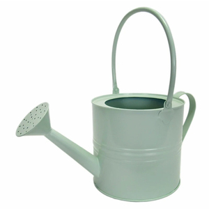 Offre Spéciale Arrosoir Vase à fleurs en métal Arrosoir Couleur métal Arrosoir Bouilloire Pour La Maison Jardin Utilisation Quotidienne - Product Image 6