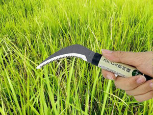 Faucille d'herbe légère en acier inoxydable de haute qualité facile à utiliser outils à main résistants à la rouille pour l'agriculture de jardin - Product Image 4