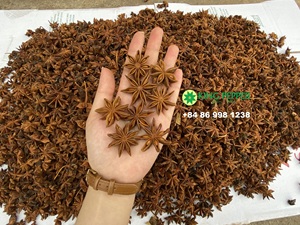 Anís estrellado mezclado de Phalco Vietnam Fabricantes Sabor seco Exportación Especialidad-Envío rápido - Product Image 5