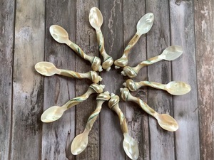 Cuchara de concha de perla proveedor mayorista a granel exportador para restaurantes de cocina fina y catering - Product Image 6