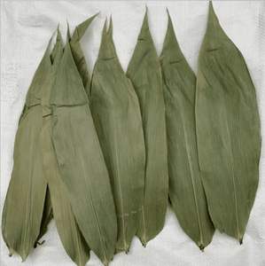 LE MEILLEUR PRIX NATUREL VIETNAM FEUILLES DE BAMBOU SÉCHÉES/MS LAURA - Product Image 1