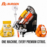 CE-gecertificeerde automatische citrusvruchten verpakkingsmachine met gaaszakken voor citroenen, sinaasappels, appels en peren, met precisieweegschaal en zachte verpakking