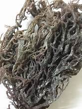 SEAMOSS PURE BOTANIQUE PLANTE MARINE SUPERALIMENTAIRE ÉTIQUETTE PROPRE POUR LA SANTÉ IMMUNITAIRE ET LE SOUTIEN DE DÉTOX - Product Image 3