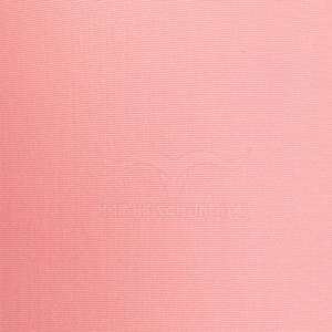 Traje de baño cómodo de la mejor calidad para mujer Material sólido Traje de baño bajo Moq en el mejor material - Product Image 6