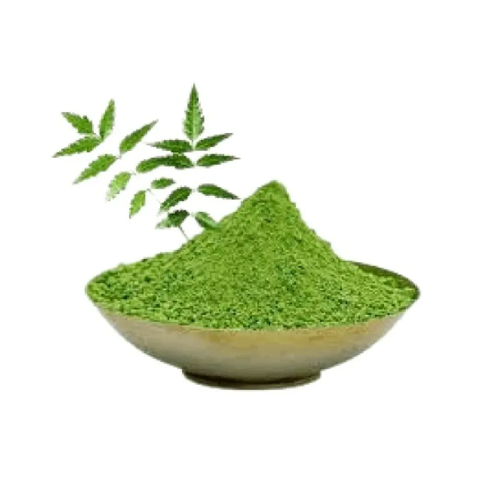 Poudre de neem biologique essentielle de qualité alimentaire Nature's Skin Savior Poudre de neem pure Soins de la peau biologiques Neem Wellness